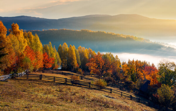 Autumn Hills Acrylic Painting Tutorial Example Photo